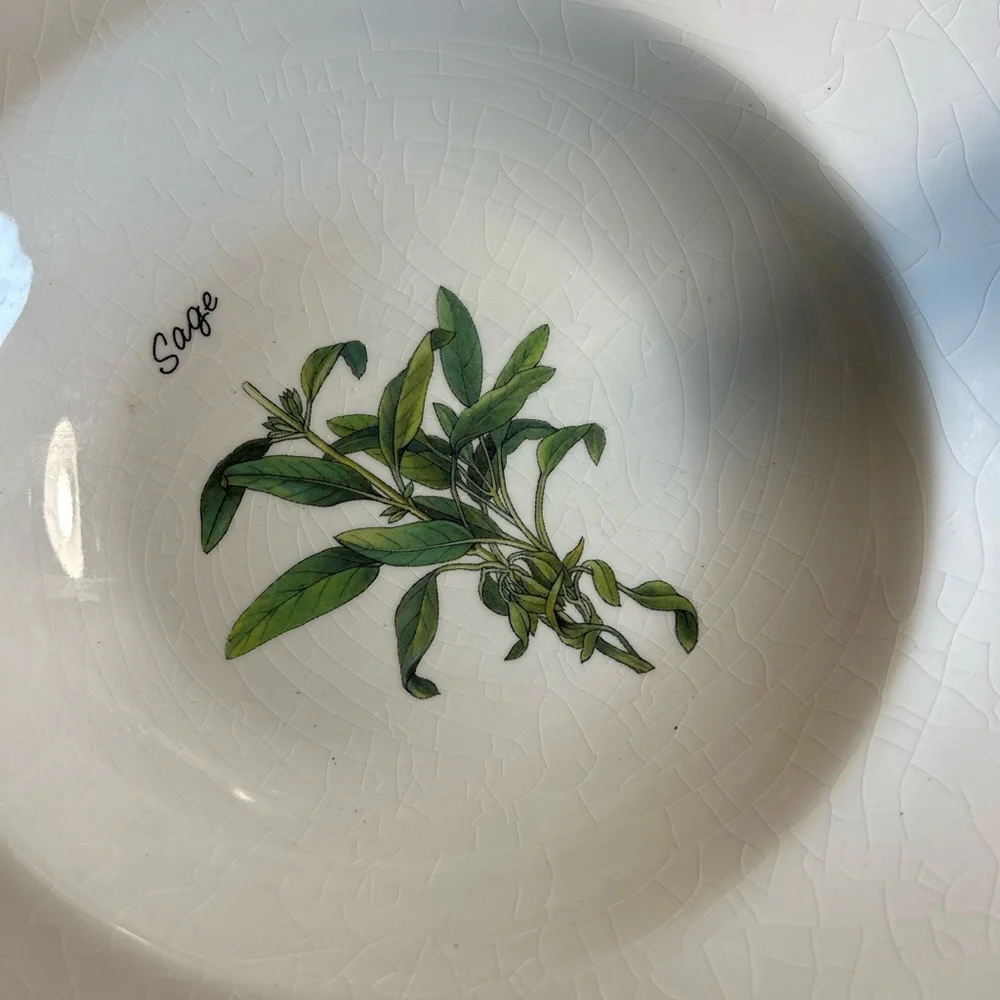 Crate&Barrel elegant ceramic